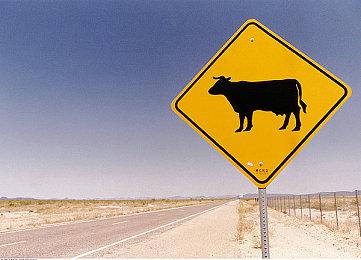 《黑色行动6》容量更小 首发时不再默认下载《战区》